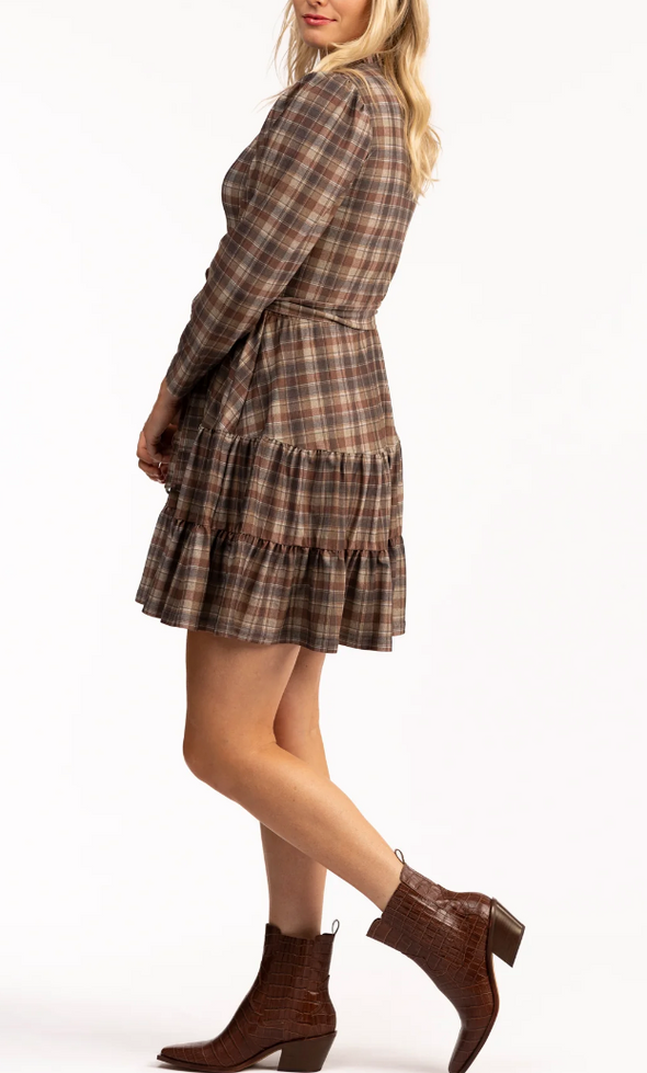 Rosemary Dress in Professors Plaid