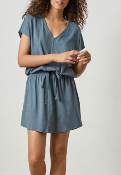 Sasch Vneck Mini Dress